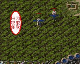 ����ʲô�������κ���