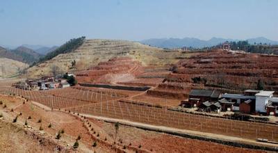 ��Ѫ�������ȼ��б�