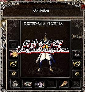 �ɽ�����װ������