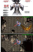 ���Ŵ���1.80��Ұ�