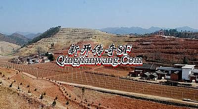 �������� ���� ������