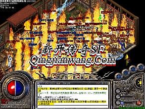 176���Ŵ�����ַ