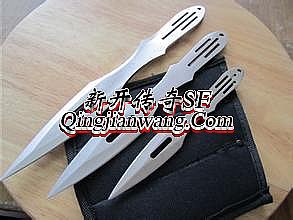 �������� ����������