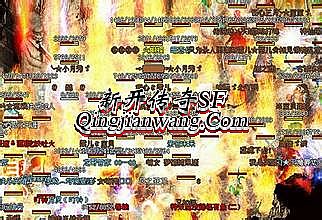 ���䴫���ſ���������