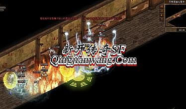 2016���ɵ�ְҵ����