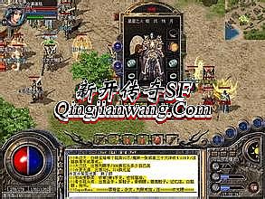 176��Ҹ��Ŵ���˽��