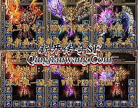 ������Ȩ�Ĵ���Ҫ����