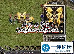 ������������ʲôװ��