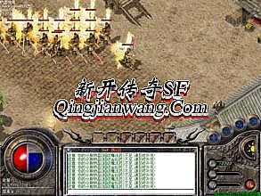 �����紫����ѹۿ�