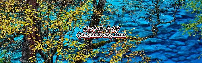 1.76dnf�汾©��