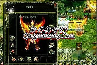 �¿�������վ�ϻ�x