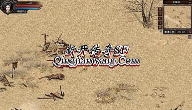 ����̬��ҳ�洫��˽��