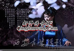 1.76���Ŵ����ֻ���ʽ