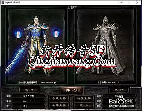 ��Ѫ���渱��