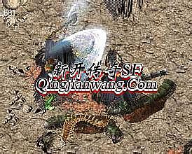 qq�����ҵ�ֻ���