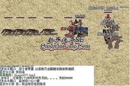 蓝月传奇翅膀8升9