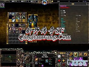 1.95变态神龙传奇