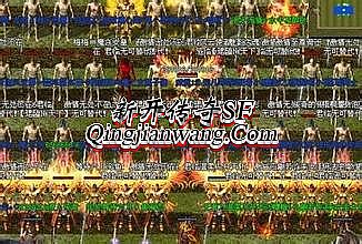 �¿����ŵ�ְҵ����˽��