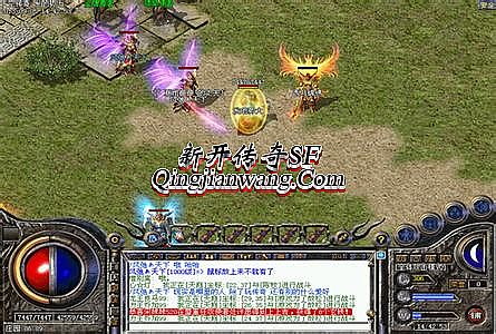 传奇网页游戏非r