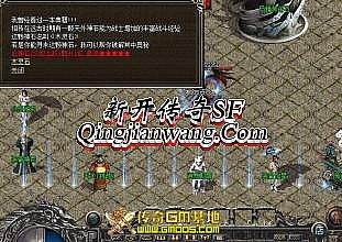 ��紫��1.76С��Ʒ