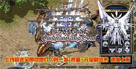 ��ְҵ��̬�洫��˽��