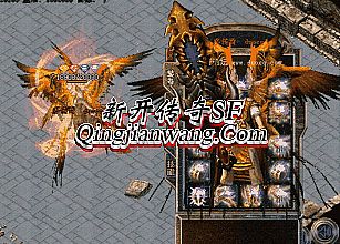 1 76���踴�Ŵ���