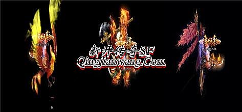 ʢ����Ѫ����Ψһ����