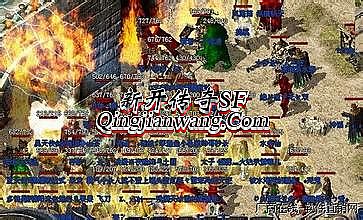 ��Ѫ�����ֻ�������