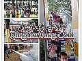 ��괫����̳,��ʱ���ںͻþ�ƾ֤һʱ��