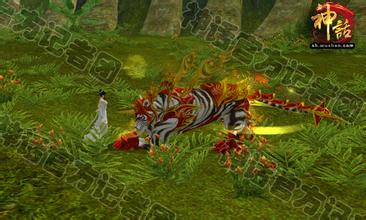 ��ְҵ��ʧ�����